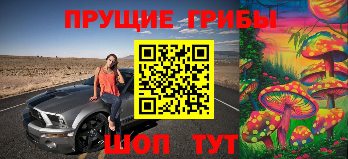 Псилоцибиновые грибы мицелий Гусь-Хрустальный